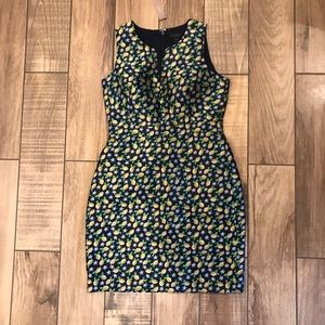 NWT J.Crew Lemon Printed Dress 8P